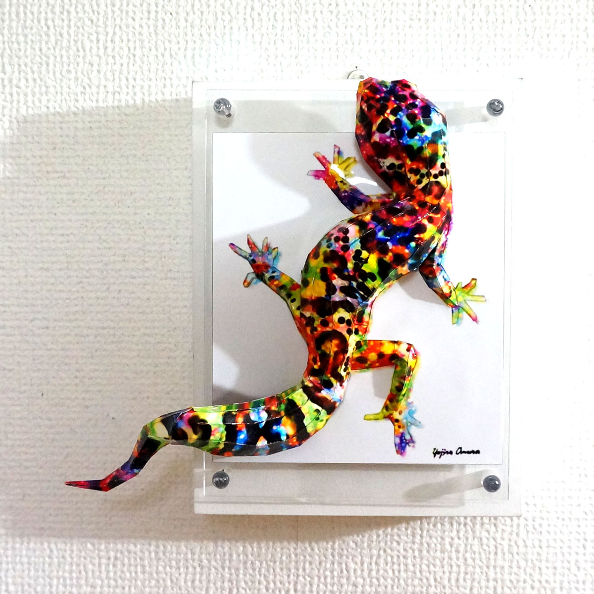 煌めくトカゲは上を気にする - 画像 (2)