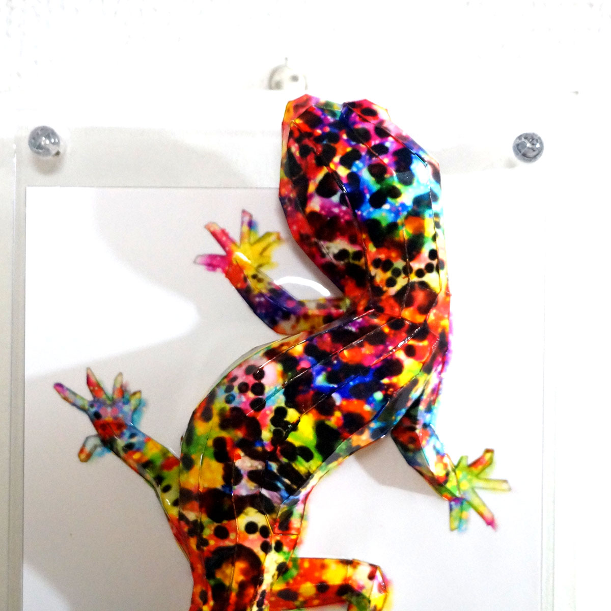 煌めくトカゲは上を気にする - 画像 (3)