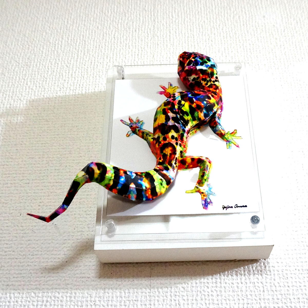 煌めくトカゲは上を気にする - 画像 (5)