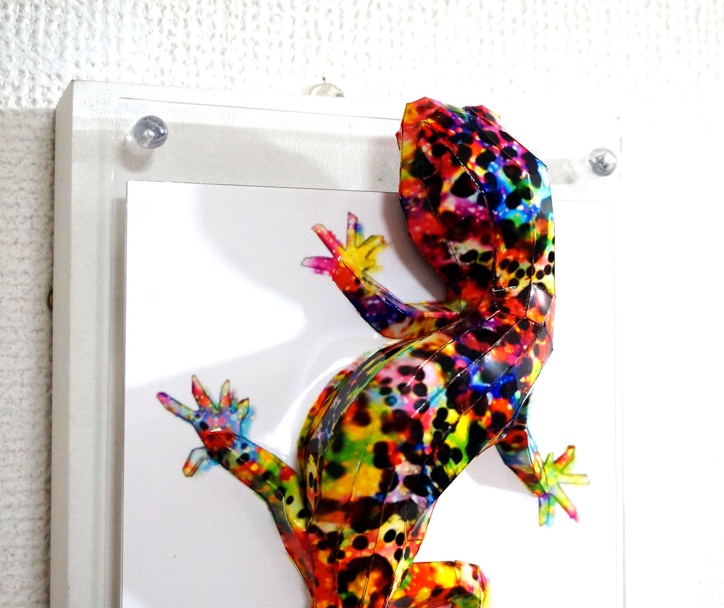 煌めくトカゲは上を気にする - 画像 (6)