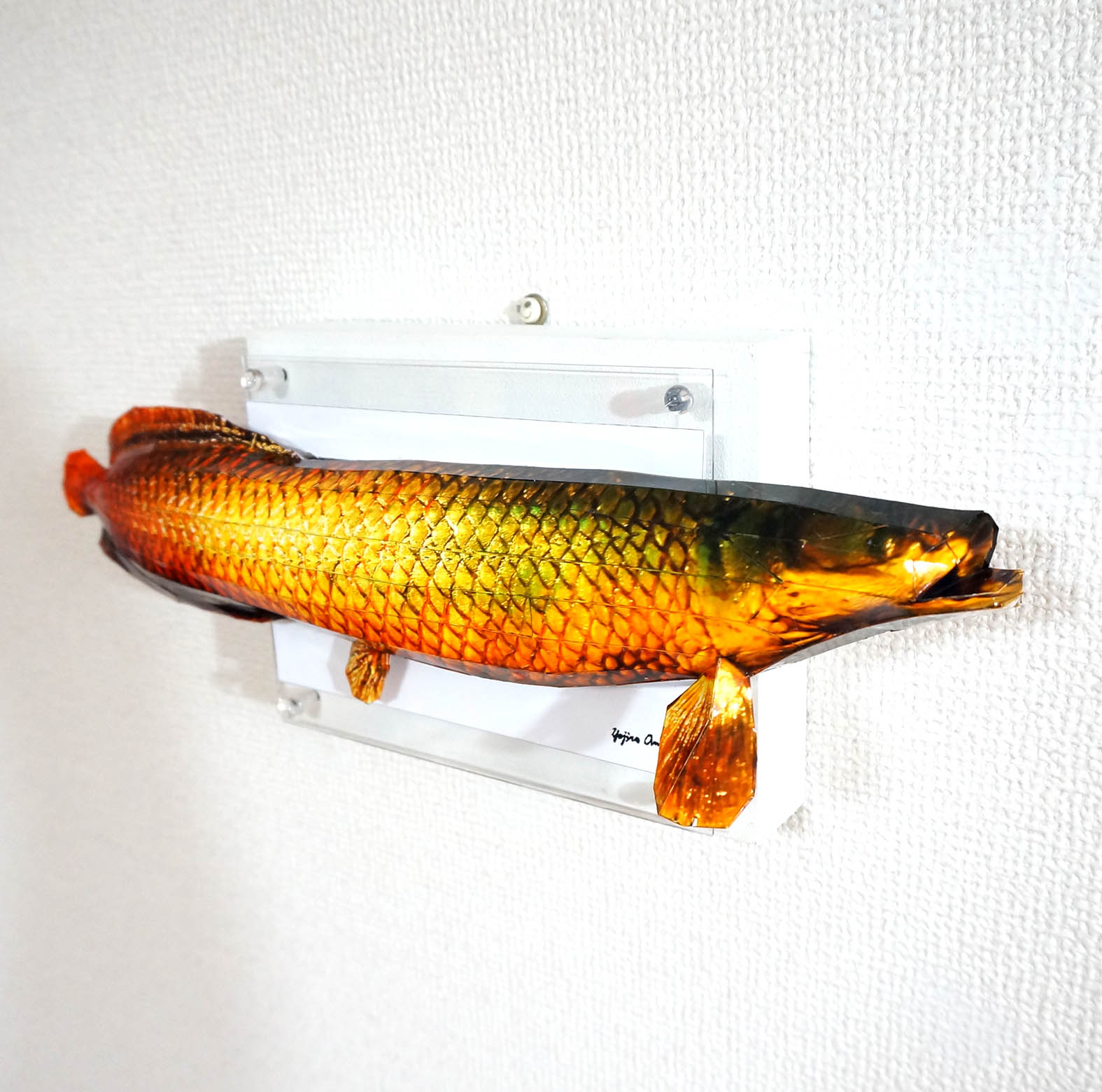 巨大なピラルクはパネルに収まらない