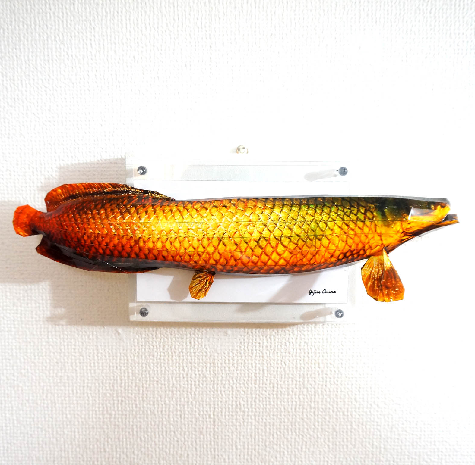 巨大なピラルクはパネルに収まらない - 画像 (2)